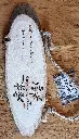 IMG_20240416_190632.webp