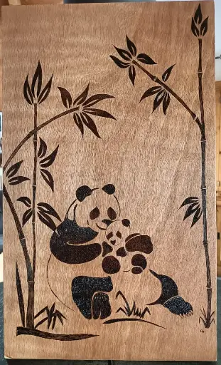 Tableau 30x50 cm